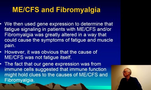 Novel Gene Variants in ME/CFS and Fibromyalgia