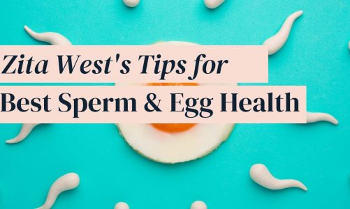 Tips to Improve Sperm and Egg Quality