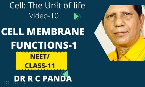 Functions of Cell membrane-1|Cell:The unit of life |NEET |NISER | CLASS-11 | Dr Ramesh Panda