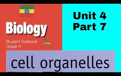 Ethiopian Grade 11 Biology Unit 4 p_7 Organelles