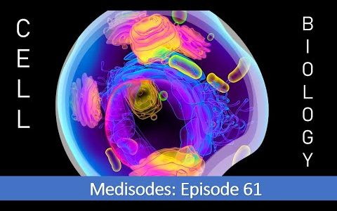 Cell Biology – Medisodes Episode 61