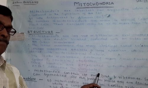 Prof.S.K.Singh, Class-9th, 29. Mitochondria