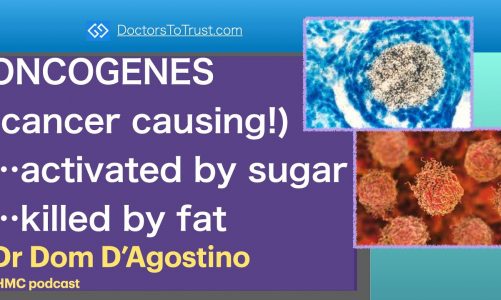 DOM D’AGOSTINO 4a | ONCOGENES (cancer causing!)…activated by sugar…killed by fat
