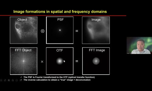 Liangyi Chen – Overcoming physical resolution limits with sparse deconvolution – Imaging ONEWORLD