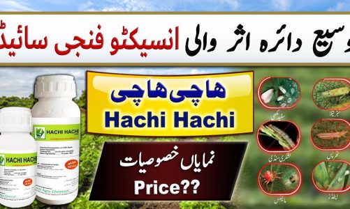 An effective insecto-fungicide, Hachi Hachi || Crop Reformer