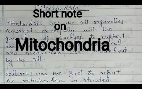 Short note on Mitochondria / Mitochondria