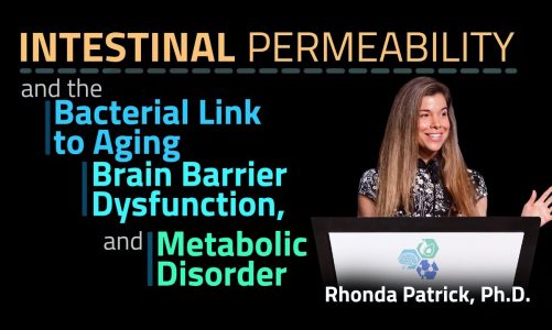 Intestinal Permeability: the Bacterial link to Aging, Brain Barrier Dysfunction & Metabolic Disorder