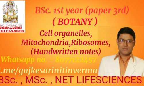 Cell organelles, mitochondria and ribosomes BSc 1st Year zoology paper 3rd