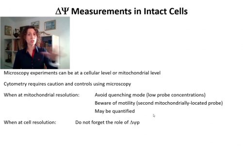 Intact Cell Measurements 2
