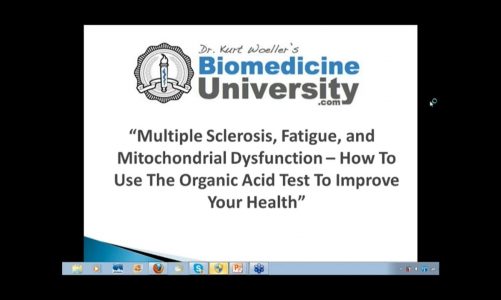 Multiple Sclerosis Fatigue and Mitochondrial Dysfunction  – How to Use the Organic Acid Test