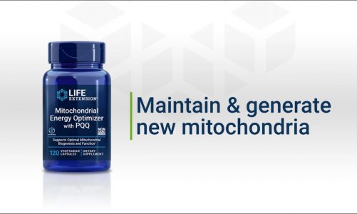 Mitochondrial Energy Optimizer with PQQ –Support Your Youthful Energy