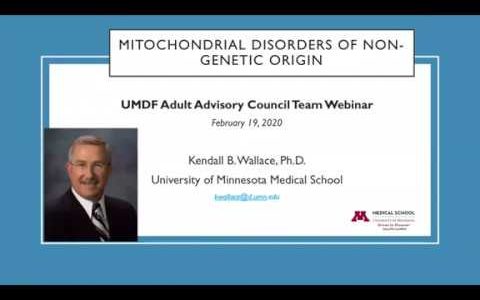 Mitochondrial Disorders of Non-Genetic Origin