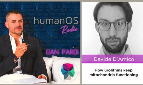 060. Increasing Mitochondrial Autophagy for Better Aging. Podcast with Davide D'Amico, Ph.D.