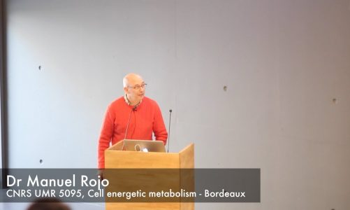 Dr Manuel Rojo – Mitochondrial fusion/fission dynamics and bioenergetics: intricate links