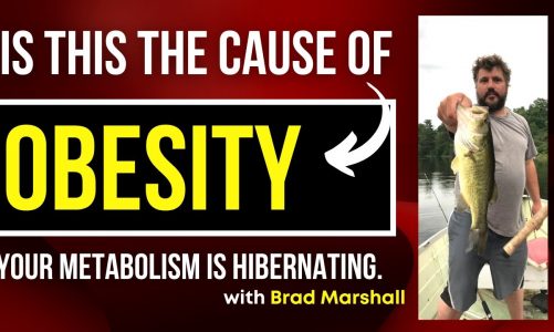 ROS, SCD1, and Reductive Stress: Theory of Obesity with Brad Marshall