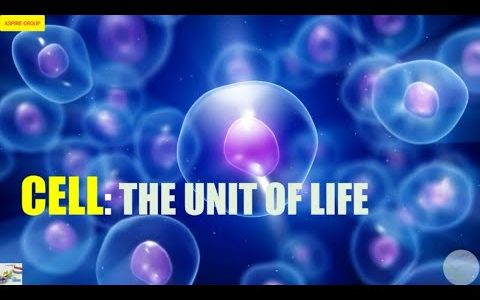 CELL- THE UNIT OF LIFE – RRB || SSC || PSC  PART 2
