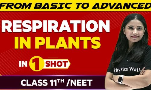 Respiration in Plants in One Shot – NEET/Class 11th Boards || Victory Batch