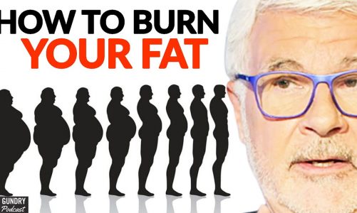 How To BURN YOUR BODY FAT For Overall Health & LONGEVITY | Dr. Steven Gundry