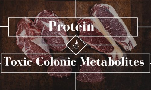 Protein Metabolites in the Colon; More than just Endotoxin