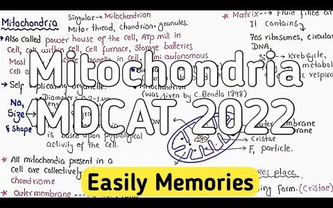 Mitochondria | MDCAT 2022 | Powerhouse Of Cell