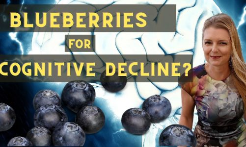 Can Blueberries Improve Cognitive Function?