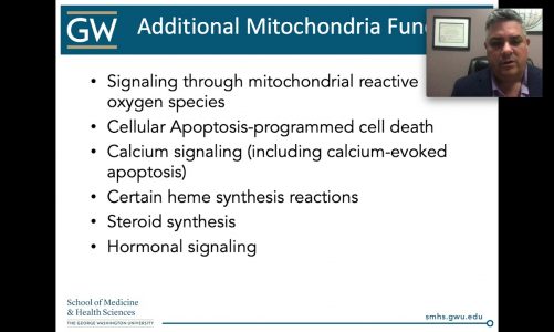 Mitochondrial: Cell Danger Response