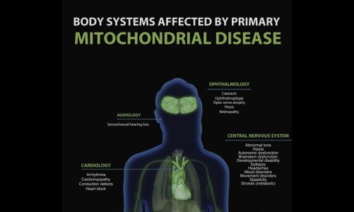 Mitochondrial Disease Body Scan
