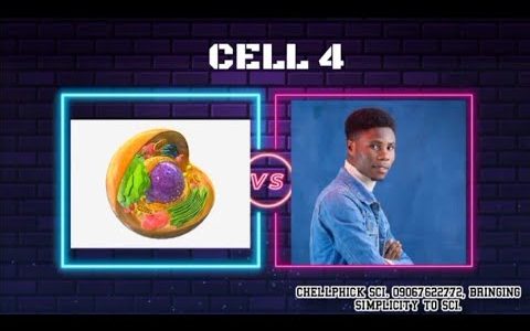 CELL 4 ( PLANT CELL VS ANIMAL CELL)