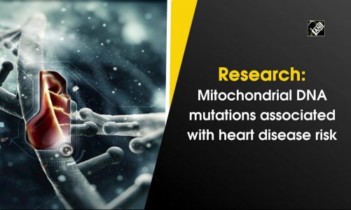 Research: Mitochondrial DNA mutations associated with heart disease risk
