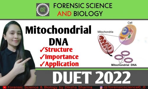 What is Mitochondrial DNA || Human Genetics || Important Genetic Topic