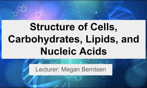 Week 6: Structure of Cells, Carbohydrates, Lipids, and Nucleic Acids