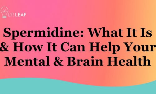 Spermidine: What It Is & How It Can Help Your Mental & Brain Health