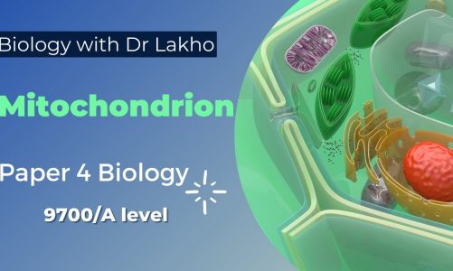 Mitochondrion | 9700/A2 Level Paper 4 | Biology with Dr Lakho