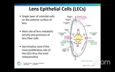 NSS 2022.02.18 – Marlene Kontcho “Oxygen Effect on the Irradiation of Lens Epithelial Cells”
