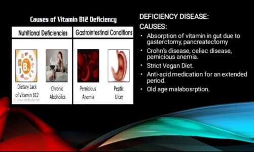 Vitamin B12 @Pharmacology in Covid-19