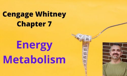 Cengage Whitney Nutrition Chapter 7 Lecture Video (Energy Metabolism)