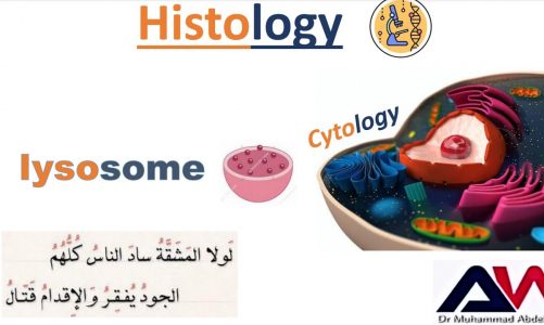 Lysosomes – Dr.Abdelwahab 2023