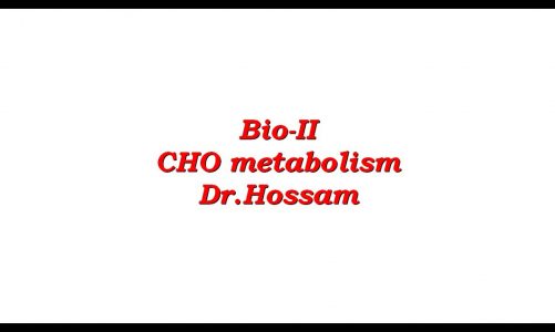 Carbohydrate metabolism (lecture 2) [Kreb's cycle]