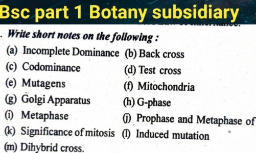 Write short notes of the following in botany subsidiary bsc 1st year short notes on codominance