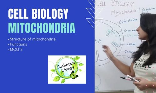 Mitochondria- Structure and functions MCQ'S