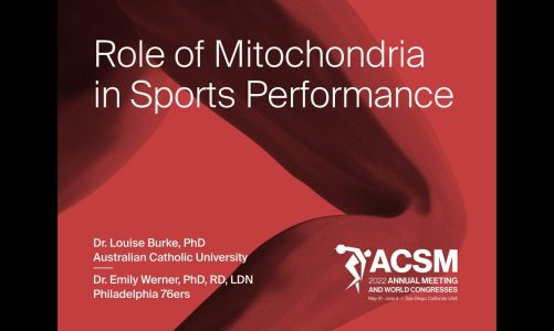 Role of Mitochondria in Sports Performance