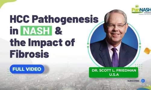 HCC Pathogenesis In NASH & The Impact Of Fibrosis (Hepatocellular Carcinoma) | Dr Scott L. Friedman