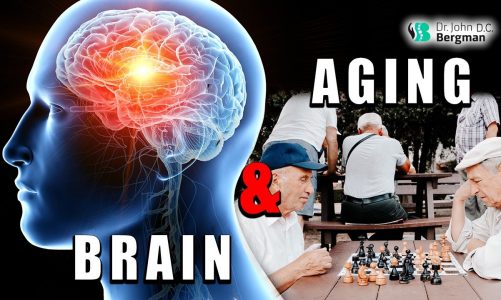 Aging & Brain Function