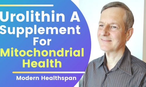 Urolithin A Supplement For Mitochondrial Health | Review By Modern Healthspan