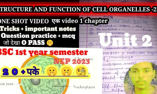 Structure And Function Of Cell Organelles -2nd Unit 2 BSC 1st semester || Zoology 1 Shot video Ques
