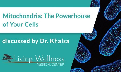Mitochondria: The Powerhouse of Your Cells