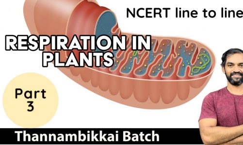 Respiration in Plants | Part 3 | Thannambikkai Batch 2023 | NCERT Line to Line