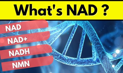 7 Studied Benefits of NAD supplements – From Healthy Aging to Improved Energy Levels
