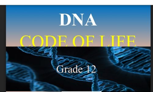 DNA CODE OF LIFE  life sciences grade 12  [THUNDEREDUC] BY: B.SAIDI