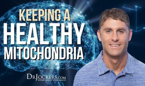 Keeping A Healthy Mitochondria